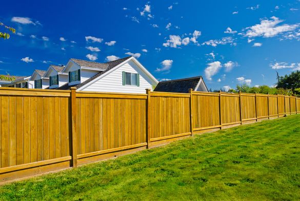 close board Fencing